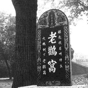 山西洪洞大槐树